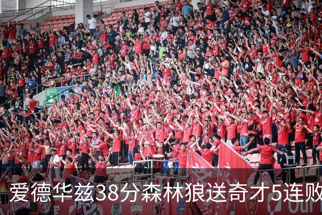 爱德华兹38分森林狼送奇才5连败 活塞力克黄蜂